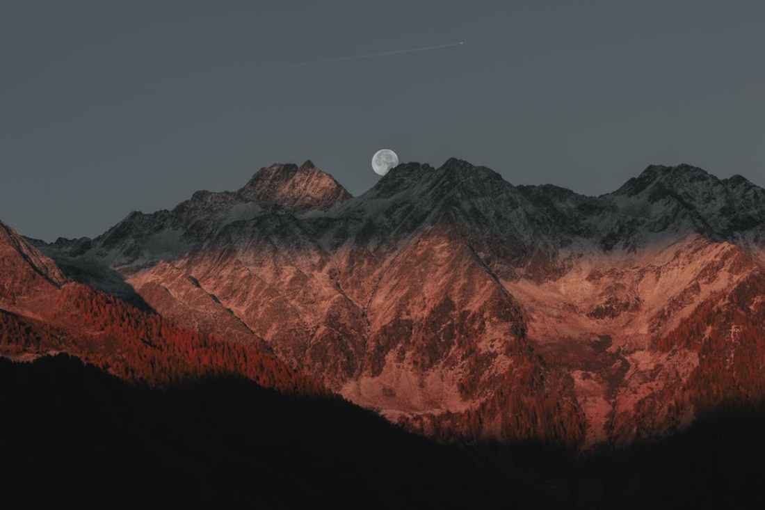 pexels-photo-1183021