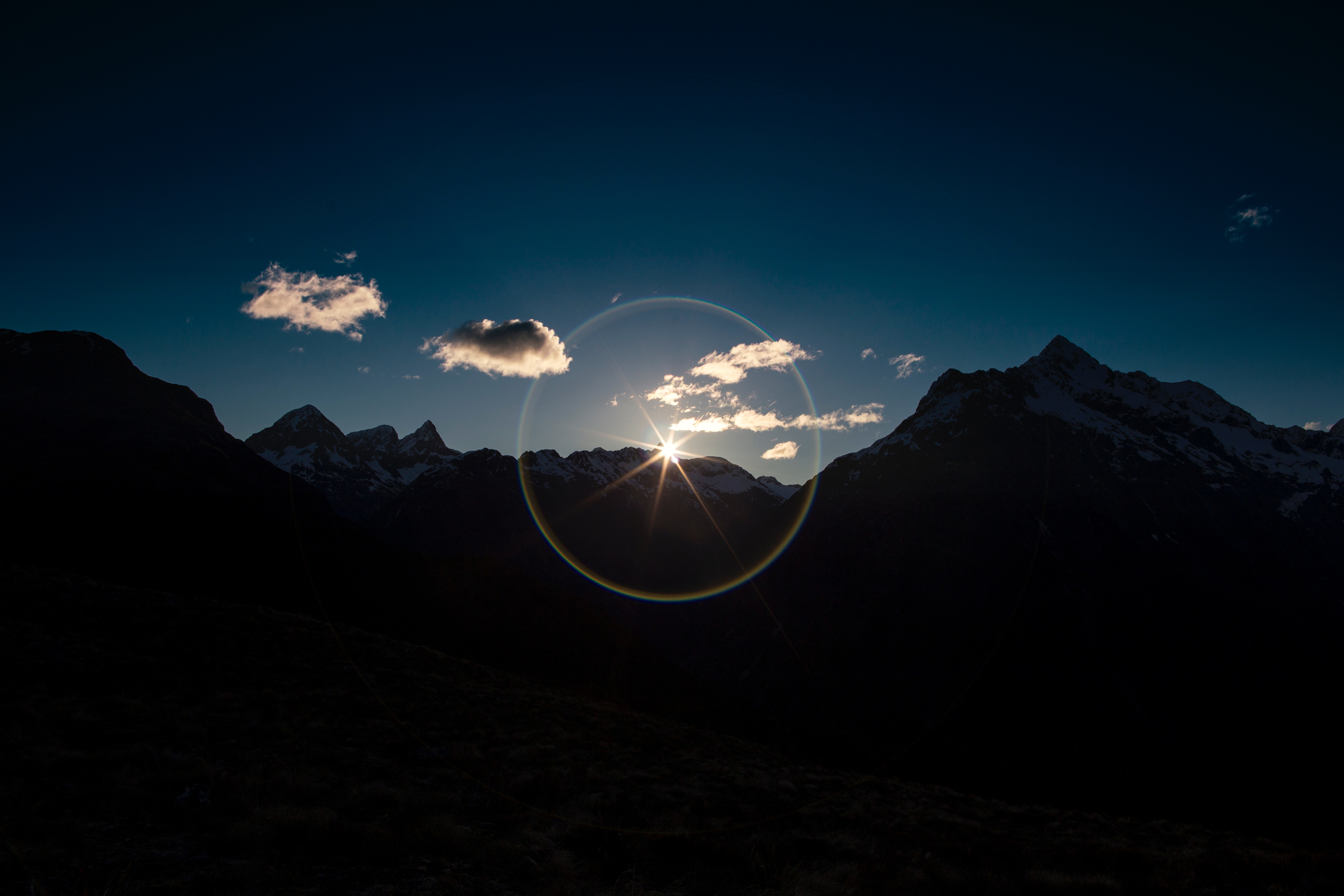 phil-botha-1308059-unsplash