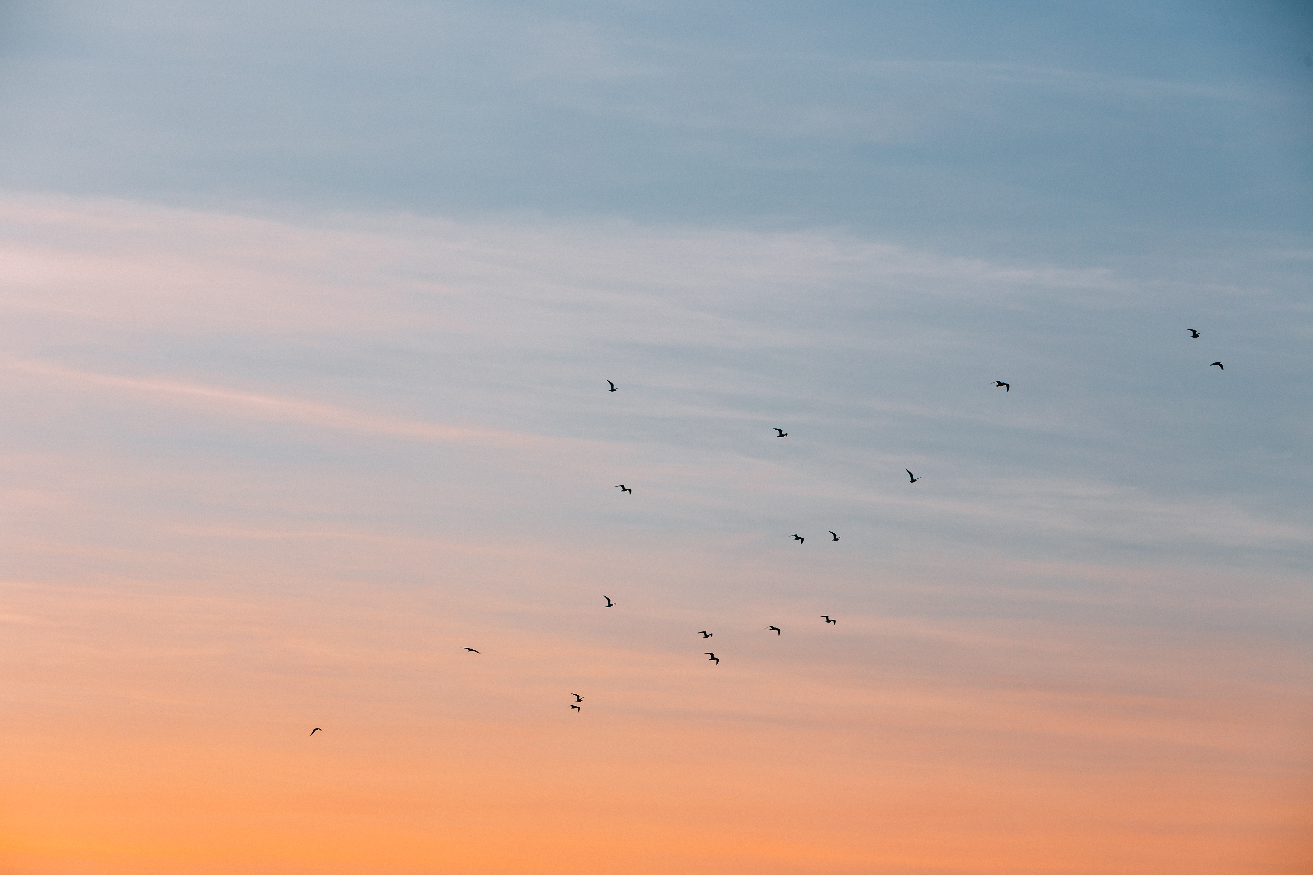 leonard-von-bibra-182214-unsplash