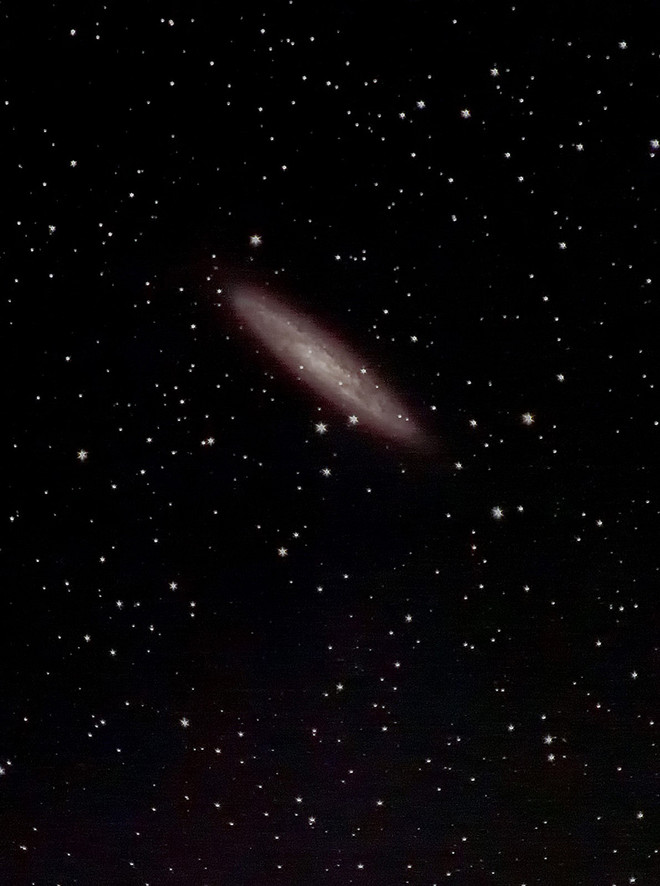 ngc253