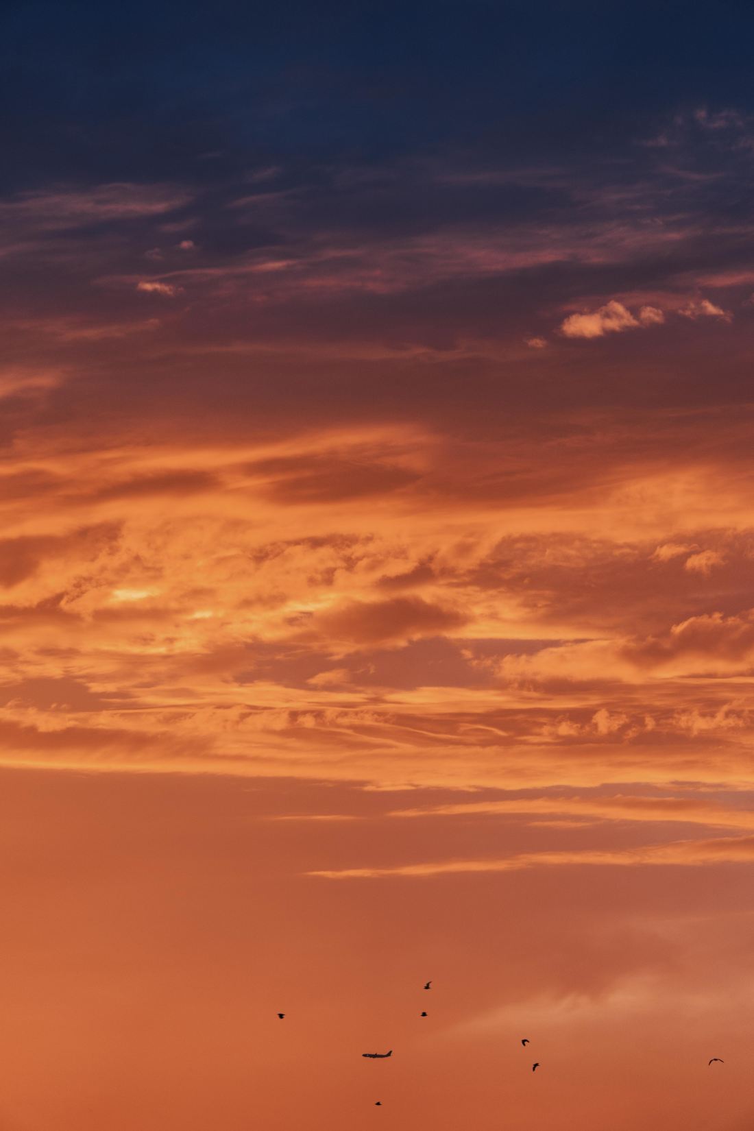 ahmet-kemal-73k6vSumbBw-unsplash